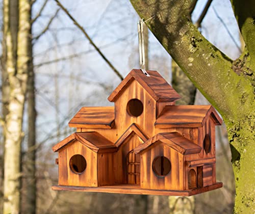 COLEBA Bird Houses for Outside,Outdoor 5 Hole Bird House Room for 5 Bird Families Bluebird Finch Cardinals Hanging Birdhouse for Garden (Brown - Set of 1)