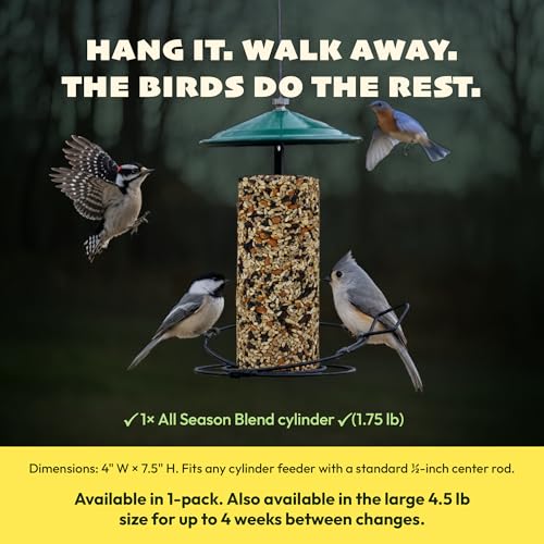 JCs Wildlife All Season Blend Bird Seed Cylinder with Hole, Suet Safflower Pecans Wild Bird Food for Outside Feeders, Cardinals Woodpeckers Chickadees Nuthatches, Made in the USA, 1.75 lb, Pack of 6