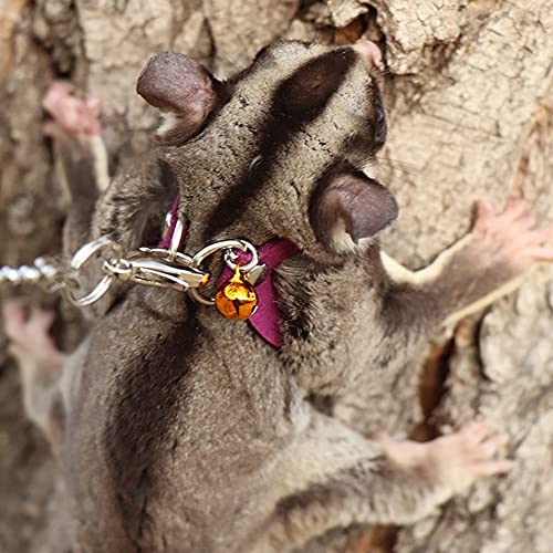 3 Pack Sugar Glider Harness and Leash Set - Adjustable Traction Rope Strap Anti-Biting Chain Rope, Small Animal Training Walking Vest Leash for Sugar Glider Squirrel Hamster Rat Birds Reptile (Purple) - color: Purple