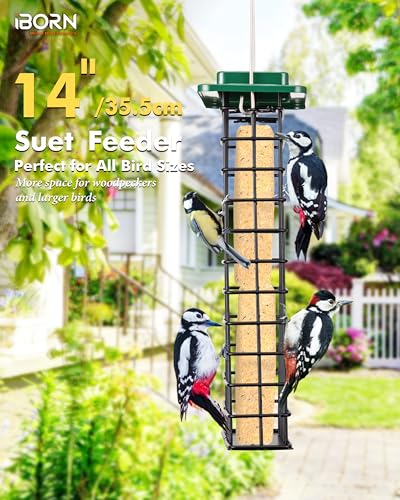 iBorn Metal Double Suet Feeder,Durable Suet Cake Cage Bird Feeder for Outdoors Hanging，Metal Roof Bird Feeder with Taller Grid for Woodpeckers,Large Suet Holder,Easy Clean & Refill,1 Pack,Green - color: Green, size: Double Capacity