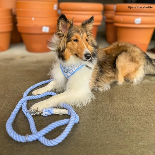 Denim Blue Hands-Free Rope Leash - color: Denim Blue Hands-Free Dog Leash