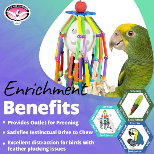 Super Bird Creations SB1205 Squiggy Bird Toy - Satisfies Chewing and Preening Behavior - Interactive Parrot Toy - Ringnecks Medium Conures African Greys Eclectus - Ideal for Medium to Large Bird Size