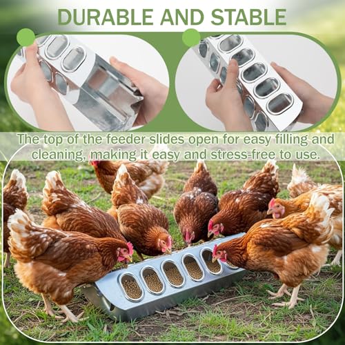 Potchen 2 Pcs Slide-top Poultry Feeder Durable Galvanized Metal Chicken Feeder Trough with Removable Top Trough Multi-Hole Tray for Pigeon Quails Duckling Birds Duck Chicken(12 Inch) - size: 12 Inch