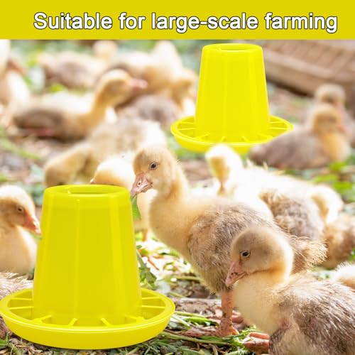 Funnymoom 12 Pack Small Chicken Feeder Bulk Chick Feeder Chick Feeding for Poultry Ducks Goose Quail Pigeons