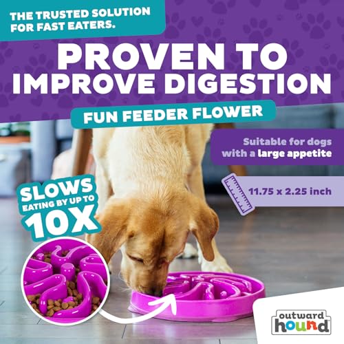 Outward Hound Fun Feeder Slo Bowl – Large 4‑Cup Capacity,Slow Feeding,Medium to Large Dogs,Non‑Slip,Purple,Flower Pattern,(Pack of 6) - color: Purple, size: Large (Pack of 6)