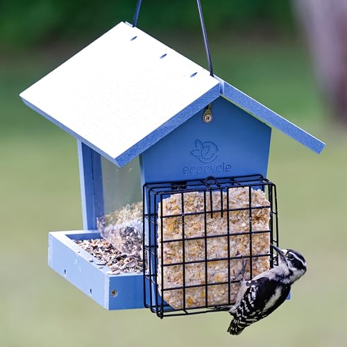 Hopper Hangout Recycled Plastic Hopper Bird Feeder with Latching Suet Cages & Fresh Seed Tray for Wild Birds and Outdoor Décor, 3 Quart Capacity, 2 Suet Cake, Blue