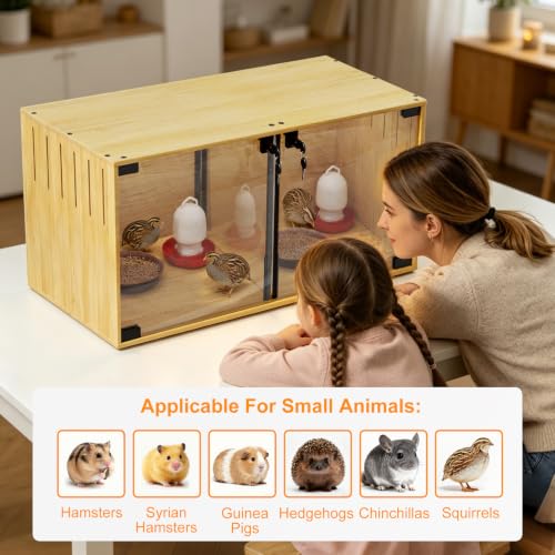 Chicken Brooder Box Lighted: Wooden Glass Hamster Cage with LED | Chewproof with Divider for Chicks Dwarf Syrian Hamster, Gerbil, Rats, Chicks, Ducks, Quails