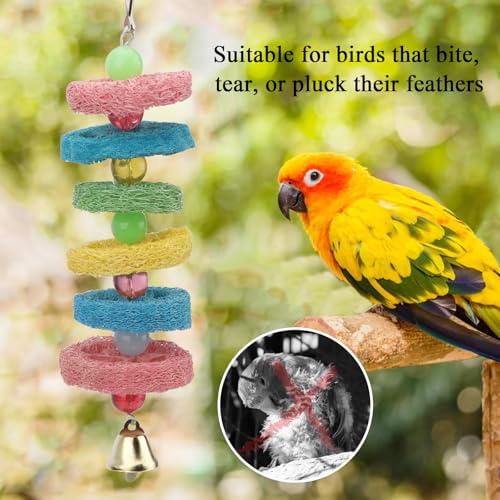 Hypeety Bird Toys Parrot Hanging Chew Toys Natural Colorful Loofah Shred and Preen Swing Bird Bell Cage Parrot Toys - color: Loofah Shred Toy