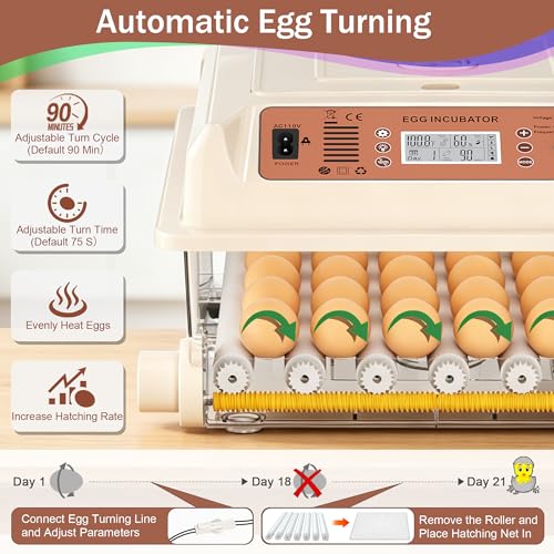36 Eggs Incubators, Chicken Incubator with Automatic Egg Turning | Incubators for Hatching Chicken Eggs, Quail Incubator with 4 Auto Incubate Mode, with Humidity Display Auto Water Filling - color: White, size: 36 Egg