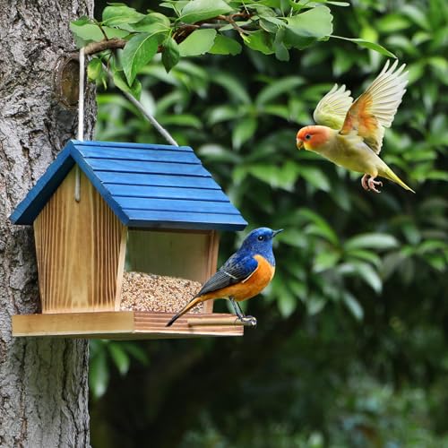 Cedar Wooden Bird Feeders for Outdoors Hanging– Large, Weatherproof Wild Bird House Feeder–Pre-Assembled, Hopper Design, Anti-Squirrel, Easy Fill for Cardinals, Bluebirds, Oriole & Finches
