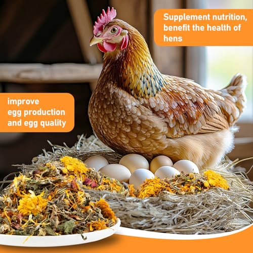 MAQIHAN 30oz Chicken Nesting Herbs - Natural Dried Poultry Coop Bedding | Poultry Habitat Supplies for Laying Hens Chicks, Coop Refresher, Roosting Bars, Box Pads, Vacuum Packed Winter Bedding - size: 1.88 Pound (Pack of 1)