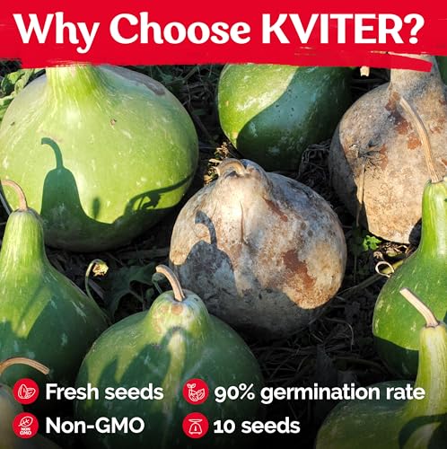 10 Purple Martin Bird House Gourd Seeds for Planting (Lagenaria Siceraria) – Bottle Gourd, Calabash, Lauki, Opo, Heirloom Vegetable Garden Seeds – Gourds for Crafts, Martin Houses for Outdoors