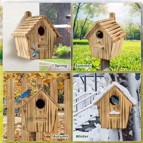 Bird Houses - Wooden Bird House for Outside with Pole - 1-1/2 Inch Entrance Hole for Bluebirds, Wrens, Chickadees, and Tree Swallows - Hanging Birdhouse for Garden