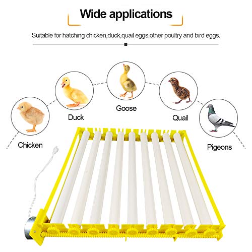 Morishima Automatic Multifunction Incubator Egg Tray Turning Hatcher for Chickens/Ducks/Birds/Poultry（9 Tubes） - color: 9 Tubes