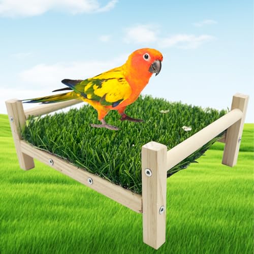 FlidRunest Bird Foraging Bed, Parrot Hammock Bed, Parrot Grass Perch Bed, Bird Perch Conure Platform Grass Forage Toy for Parakeet, Cockatiel, Lovebird, Budgie