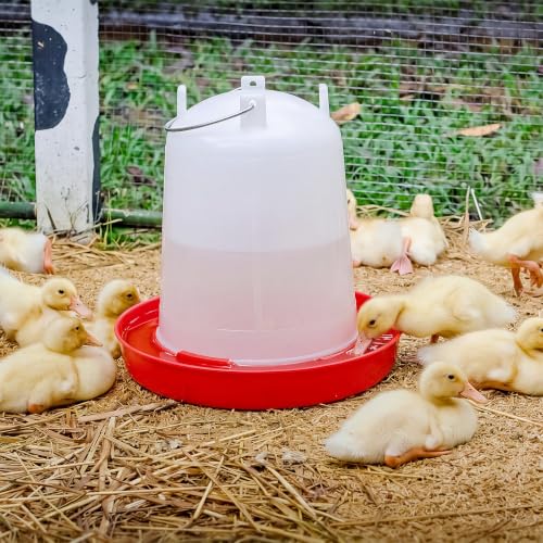 Pickmesh 2 Pcs 1 Gallon Plastic Poultry Drinker Poultry Waterer Automatic Chicken Water Feeder Fed Water Container Jar for Duck Baby Chicks Rabbit Turkeys Outdoor Farm - size: 1 Gallon
