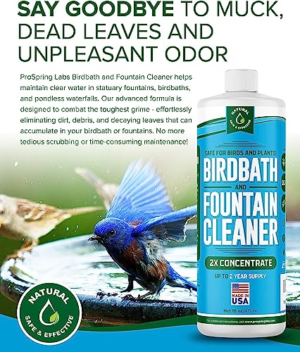 Birdbath & Fountain Cleaner - 16 oz Fountain Maintenance Outdoor Indoor - Bird Bath Cleaner