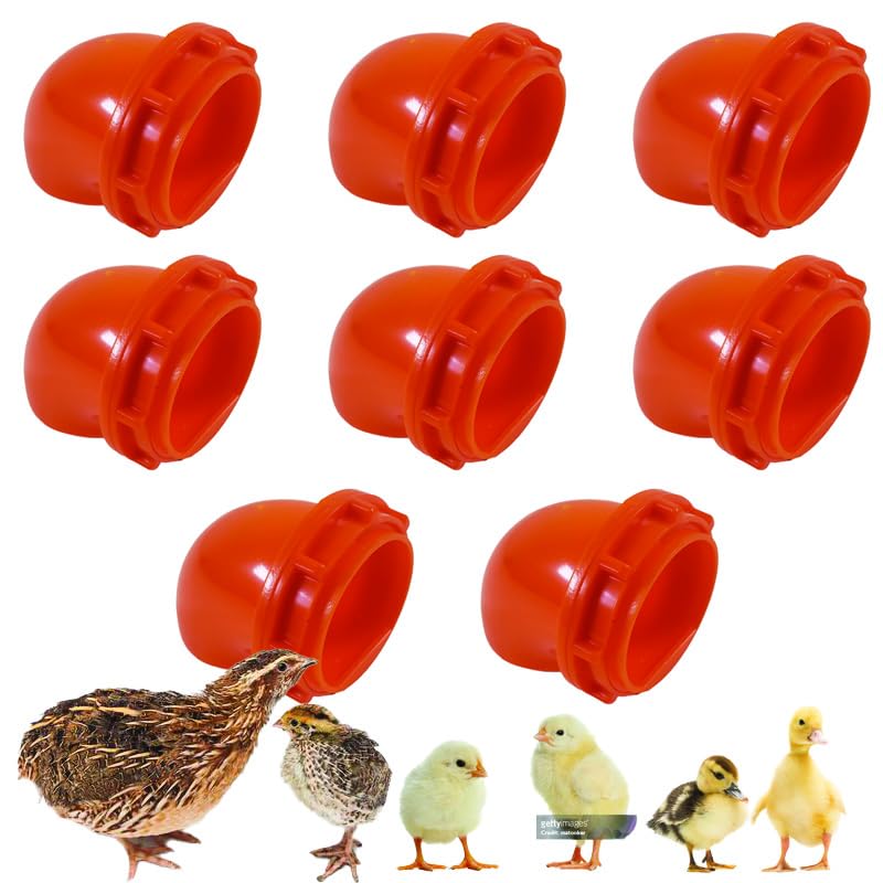 Generic Quail & Chick Port Feeder by NWQuailFarm (8 Pak)