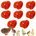 Generic Quail & Chick Port Feeder by NWQuailFarm (8 Pak)