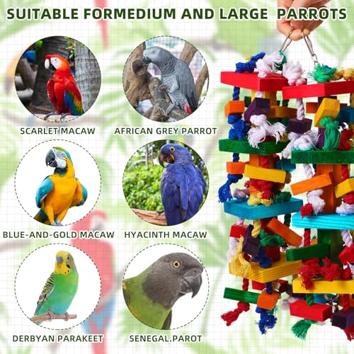 Soulchen 4 Pcs Extra Large Bird Parrot Toy Set Natural Wooden Chewing Toy, Rattan Ball, Wood Nut Loofah String (Bagged) for Large Medium Macaws, African Grey, Parrots (Colorful Ring) - style: Colorful Ring