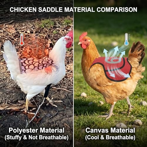 THREE ORANGES 3 Pack Chicken Saddles for Hens, Chicken Apron Back Protector with Adjustable Straps, Breathable Canvas Hen Saddles for Back and Feather Protection, Numbered Poultry Care Design