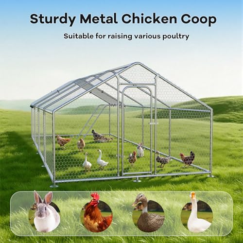 10 x 26.2 x 6.4 FT Metal Chicken Run, Chicken Coop with Cover | Reinforced frame, Walk-in Chicken Coop, Waterproof Cover, Side Hardware Cloth, Roosting Perch, Backyard & Farm Use - size: 26x10Ft
