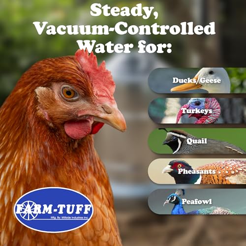 FARM-TUFF Galvanized Poultry Waterer, 2 Gallon Capacity - Double-Wall Poultry Fountain with Cone Top - Automatic Gravity-Fed Water Dispenser for Chickens, Ducks & Game Birds - size: 2 Gallon Capacity