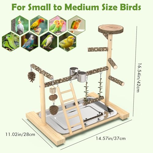 Bird Playground，Natural Wood Bird Perch Stand Parakeet Playground with Swing, Ladder & Feeder Cups，Birds Play Stand for Cockatiel Parakeet Lovebirds Conure - size: 1 layer T2