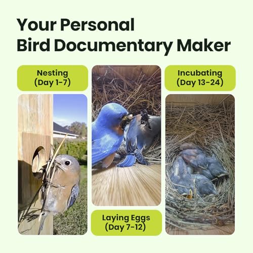 Smart Bird House with Dual 1080P Cameras, Lifetime Free AI Bird ID | Solar Powered, Remote Control, Bamboo Bird Nest for Garden & Bird Lovers, Watch Robin Nesting Story in Realtime, DIY Gift