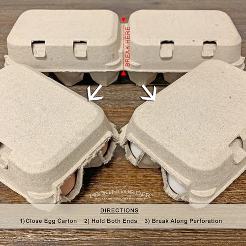 6-Egg Paper Egg Cartons - 24 Pack