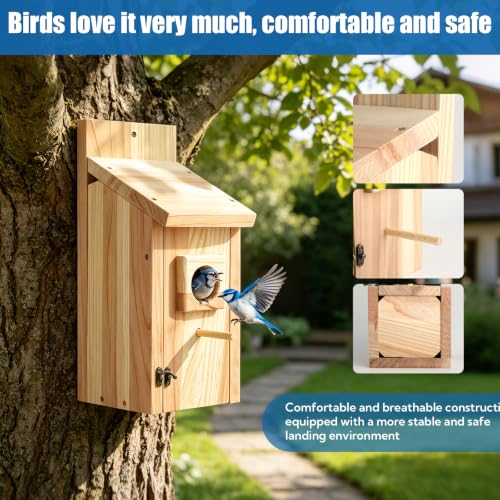6 Pack Bird Houses for Outside - Wooden Bird Houses with Perch Design, Bluebird Nesting Box for Wren Chickadee Finch, Outdoor Birdhouse for Garden Yard (6)