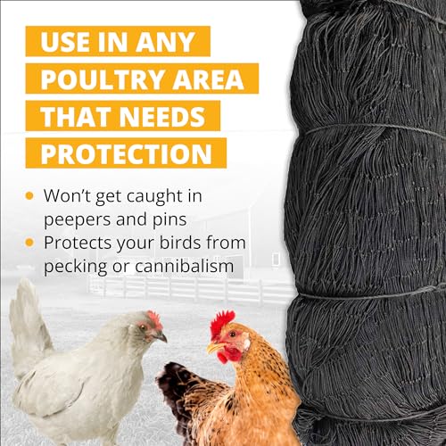 Stromberg's 1" Knotted Netting, Game Bird Netting for Pheasants & Quails, Heavy Duty, Chicken Coops, Gardening, UV-Resistant, 85 lb. Break Strength, 25'x25' | For Pheasants & Quails, Heavy Duty, Chicken Coops, Gardening, UV-Resistant, 85 lb. Break Strengt