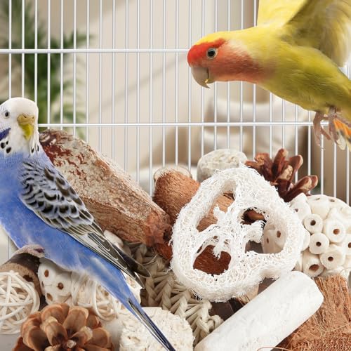 Kyouki Bird Toys Parrot Toys Natural Bird Foraging Box Foot for Parakeets,Cockatiels,Conures,Love Birds,and Other Small to Medium Birds (Medium) - size: Medium