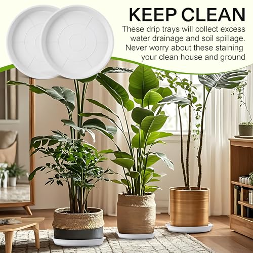 3 Pcs Plastic Bird Bath Bowl, 14”Ground Bird Baths for Outdoor, White | Large Durable Birds Bath Dish for Garden Yard, Birds Water Bowl Feeder Tray Replacement, Weather Resistant ABS Plastic - color: White