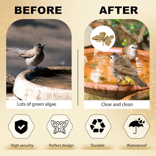 4 Pcs Mini Bird Bath Copper Ornaments Bird Bath Purification Disk Birdbath Cleaner Single 1 oz Weight Universal Fit for Outdoor Birdbaths, Bowl(Butterfly, Cricket, Bee, Dragonfly) - style: Butterfly, Cricket, Bee, Dragonfly