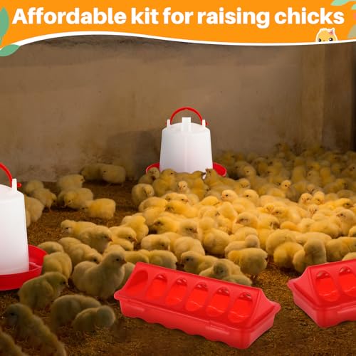 Funnymoom 12 Pack Chicken Feeder and Waterer Set Bird Small Poultry Feeder Flip Top Bird Small Poultry Feeding for Pigeon Chick Drinker Duckling Quail Feeding Dispenser(Red,6 Holes) - color: Red, style: 6 Holes