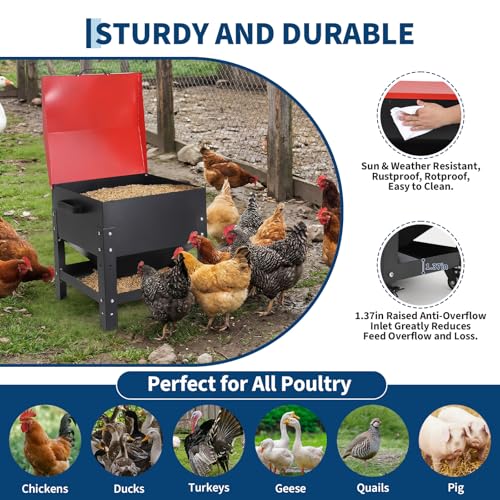 Metal Chicken Feeding Box, 80 lbs Large Capacity, Portable Feeder, Red | Galvanized Steel, Waterproof Lid, No Waste Automatic Poultry Feeder for Ducks, Hens and Roosters, Standing for Chicken Coop