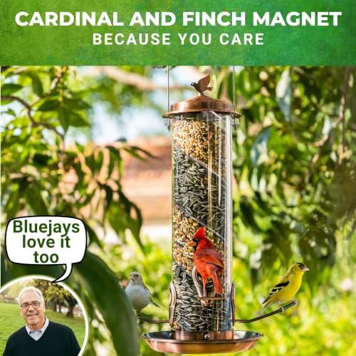 2 in 1 Spiral Bird Feeder, Hanging Bird Feeders for Outdoors, Copper Tube | finch feeders for outside, cardinal and blue jay magnet, copper metal tube bird feeder, two seed chambers, rain proof top