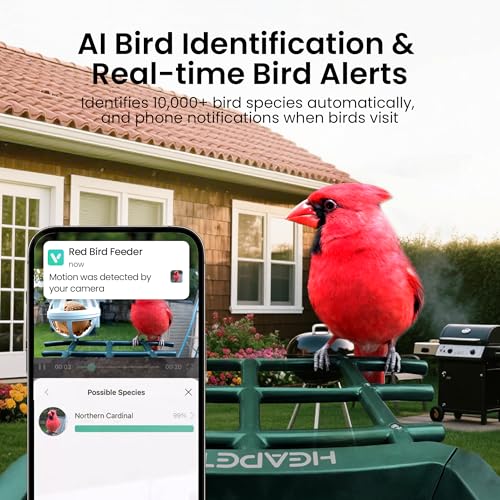Bird Feeder with Camera Solar Powered, 3K HD Video, AI Bird Recognition, Auto Capture with Instant Notifications, IP65 Weatherproof, Gifts for Seniors Bird Watchers, Brown - color: Brown-3K