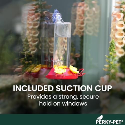Perky-Pet Window Mount Hummingbird Feeder, 8 oz Nectar Capacity | 3 Bee Guard Ports, Suction Cup & Removable Perches, Plastic Shatter-Resistant Bottle for Outdoor Backyard Bird Watching, 217 - size: 1 Pack