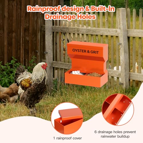 CHUANGFENG Chicken Feeder – Wall Mounted Metal Oyster Shell & Grit Feeder for Chickens, Heavy Duty Coop Feeder with Rust-Resistant Steel, Ideal for Backyard Poultry & Small Farms