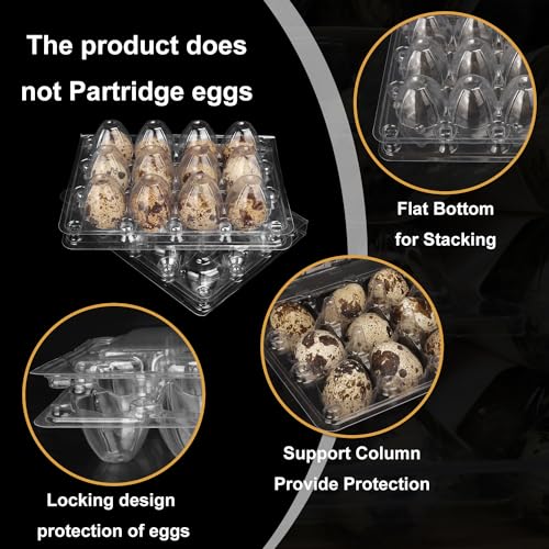 220 Pack Quail Egg Cartons, Clear Plastic Quail Egg Trays, Holds up to 12 Quail Eggs Securely - Your Ultimate Small Eggs Carton Holders for Bulk Storage and Display - size: 220 Pack Quail Egg Cartons 12 Grids