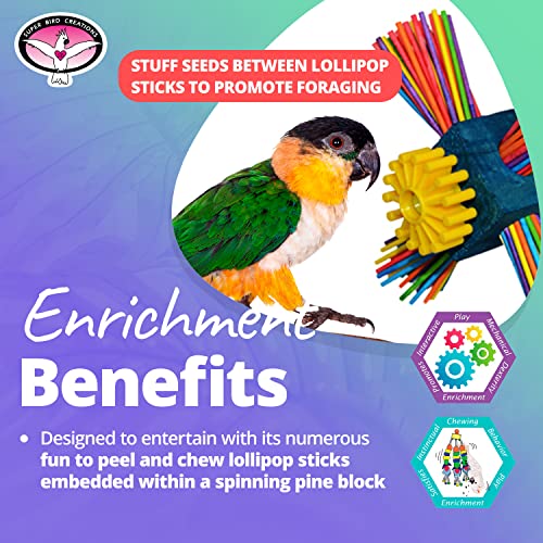 Super Bird Creations SB963 Twirl N' Whirl Bird Toy - Handcrafted Wooden Bird Stuff with Lollipop Sticks & Spinning Block - Relieves Boredom Peeling & Chewing for Parrots, Medium Sized Birds - 6.5"x4"