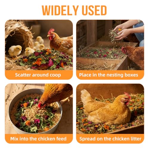 Chicken Nesting Herbs 52oz Large Value Natural 7-Herb Lemongrass Blend | Keeps Coops Fresh Naturally, Flexible for Chickens, Ducks & More, Ideal for Nesting Boxes, Bedding & Dust Baths