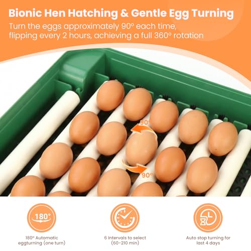 24 Egg Incubator for Hatching Eggs, 360° View Poultry Incubator, Automatic Egg Turning, Temperature & Humidity Display, Auto Water Refilling System, Egg Candler, Multifunctional Egg Tray for Chicken