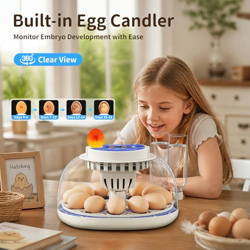12 Egg Incubators for Hatching Eggs, Auto Turning, Temp & Humidity Control | Auto Egg Turning, Auto Water Refill, 360° Viewing Window, Built-in Egg Candler & Air Vents - color: Blue, size: 12 Eggs