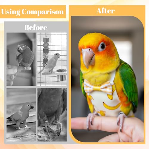 6Pcs Bird Diaper - Reusable Parrot Diapers with Waterproof Inner (Medium) | Washable Pet Bird Diapers for Budgie Lovebird Parakeet Canary
