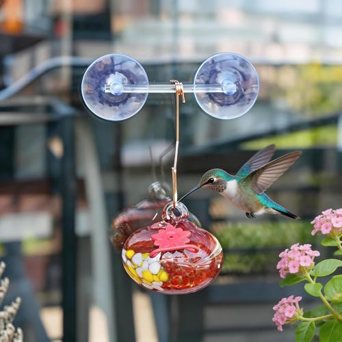 Glass Window Hummingbird Feeder with Suction Cup for Attracting Hummingbird - color: 1Pcs-Red