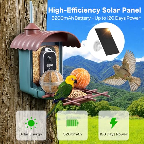Smart Bird Feeder with Camera - AI Identify 10000+ Bird Species, Solar Powered Bird House with 1080P Color Night Vision, Auto Capture Bird Videos, Wireless Outdoor Camera, Ideal Gift for Nature Lover