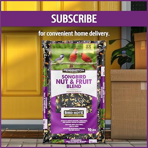 Pennington Songbird Nut & Fruit Blend Wild Bird Seed for Outside Feeders | Songbird bird seed for outside feeders, advanced nutrition formula with real fruit, nut & seeds, birdseed for wild birds